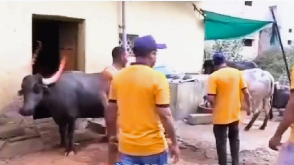 ಲಸಿಕೆ