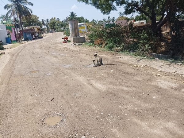 ಫೋಟೋ