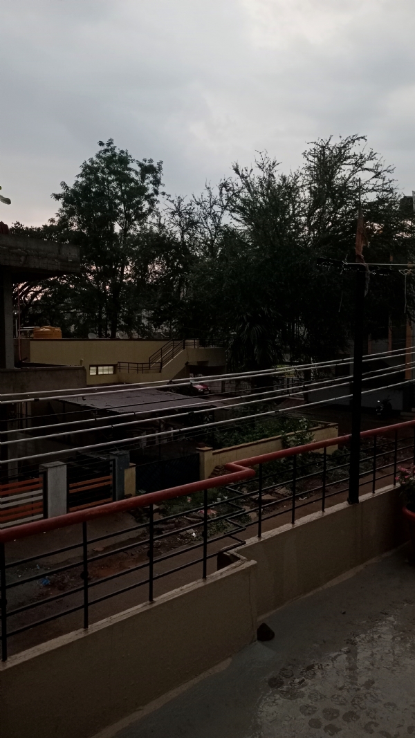 Rain