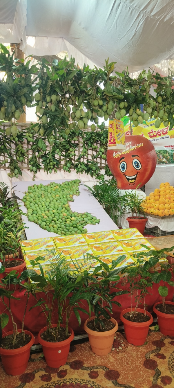 ಕೊಪ್ಪಳ : ಮಾವಿನ ಮೇಳಕ್ಕೆ 10 ವರ್ಷ: ಹಲವು ವಿಶೇಷ