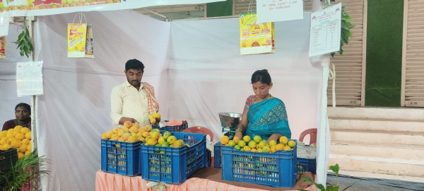 ಕೊಪ್ಪಳ : ಮಾವಿನ ಮೇಳಕ್ಕೆ 10 ವರ್ಷ: ಹಲವು ವಿಶೇಷ