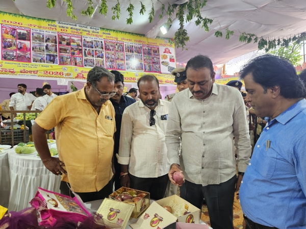 ಕೊಪ್ಪಳ : ಮಾವು ಪ್ರದರ್ಶನ - ಮಾರಾಟ ಮೇಳಕ್ಕೆ ಚಾಲನೆ