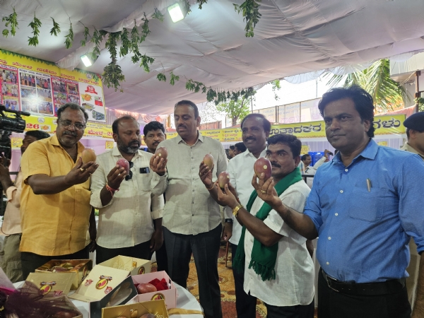 ಕೊಪ್ಪಳ : ಮಾವು ಪ್ರದರ್ಶನ - ಮಾರಾಟ ಮೇಳಕ್ಕೆ ಚಾಲನೆ