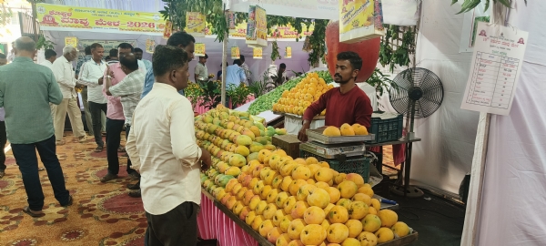 ಕೊಪ್ಪಳ : ಮಾವಿನ ಮೇಳಕ್ಕೆ 10 ವರ್ಷ: ಹಲವು ವಿಶೇಷ