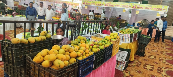 ಕೊಪ್ಪಳ : ಮಾವಿನ ಮೇಳಕ್ಕೆ 10 ವರ್ಷ: ಹಲವು ವಿಶೇಷ
