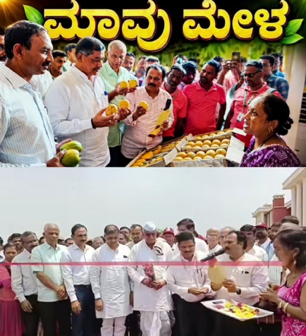 ಮಾವು