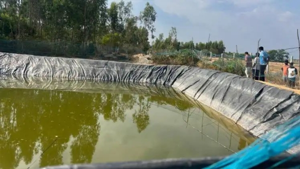 ಮಾಲೂರು ತಾಲ್ಲೂಕಿನ ನಕ್ಕನಹಳ್ಳಿ ಗ್ರಾಮದಲ್ಲಿ ಕೃಷಿ ಹೊಂಡದಲ್ಲಿ ಮುಳುಗಿ ತಂದೆ ಮತ್ತು ಇಬ್ಬರು ಮಕ್ಕಳು ಮೃತಪಟ್ಟಿದ್ದಾರೆ.