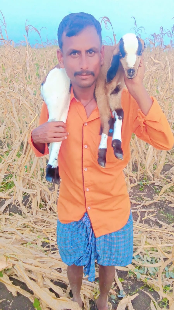 ಫೋಟೋ ಫೋಟೋ