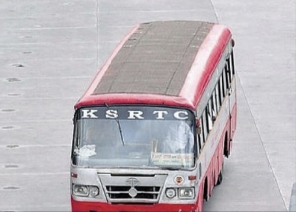 Bus Bus
