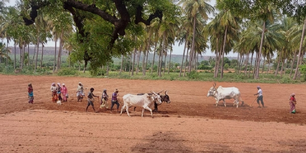 ಫೋಟೋ ಫೋಟೋ