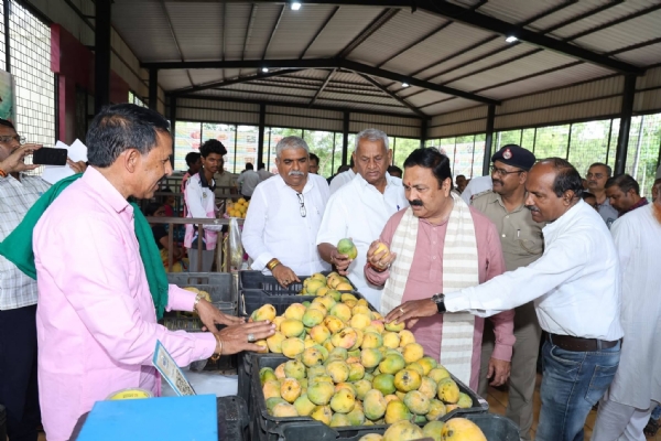 ಮಾವು ಮೇಳ ಮಾವು ಮೇಳ