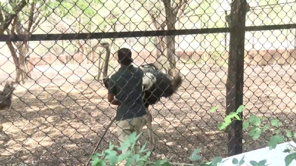 ಫೋಟೋ