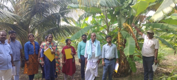 ಯೂಟ್ಯೂಬ್ ರೈತನ ಯಶೋಗಾಥೆ: ಸಾವಯವ ಕೃಷಿಯಲ್ಲಿ ನಿತೀಶ್ ರೆಡ್ಡಿ ಸಾಧನೆ