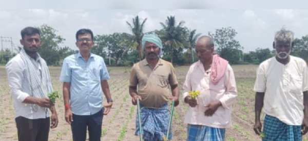 ಫೋಟೋ ಫೋಟೋ