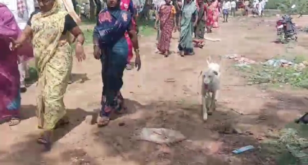 ಫೋಟೋ ಫೋಟೋ