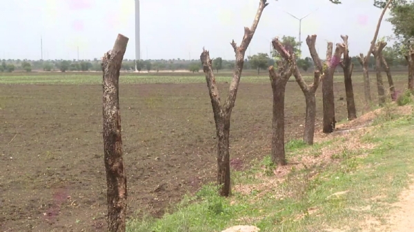 ಫೋಟೋ