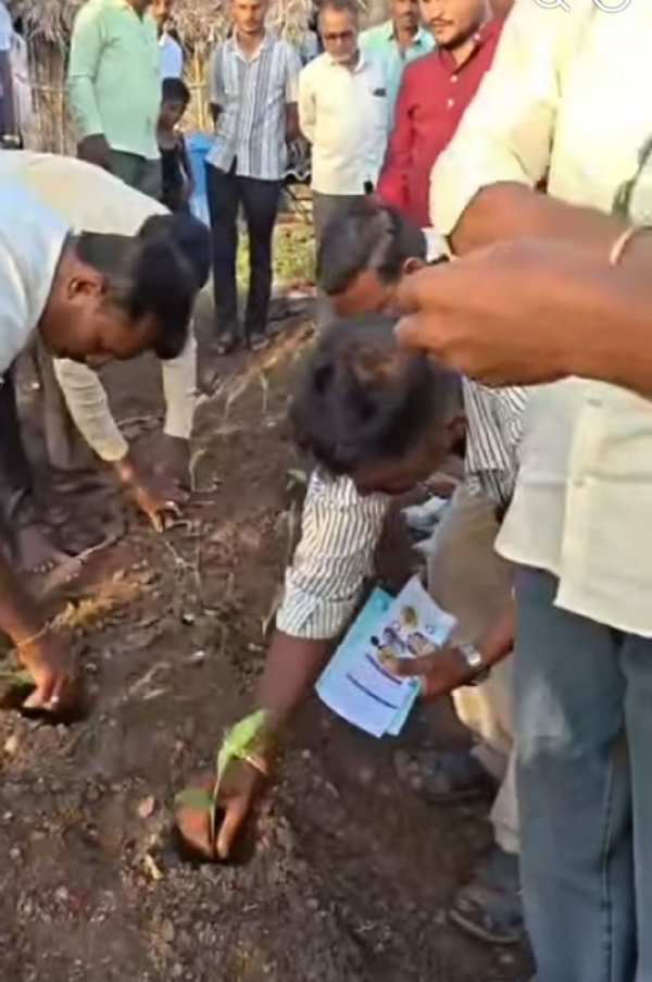 ಅರಿಶಿಣ ಅರಿಶಿಣ