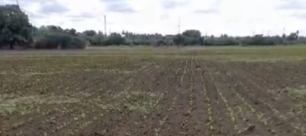 ಫೋಟೋ
