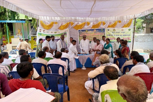 Applications invited for green chilli and pomegranate crop insurance