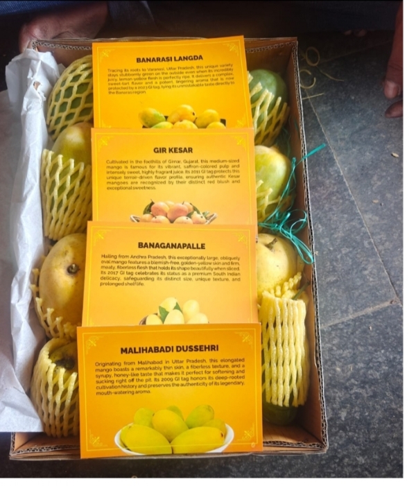Mango