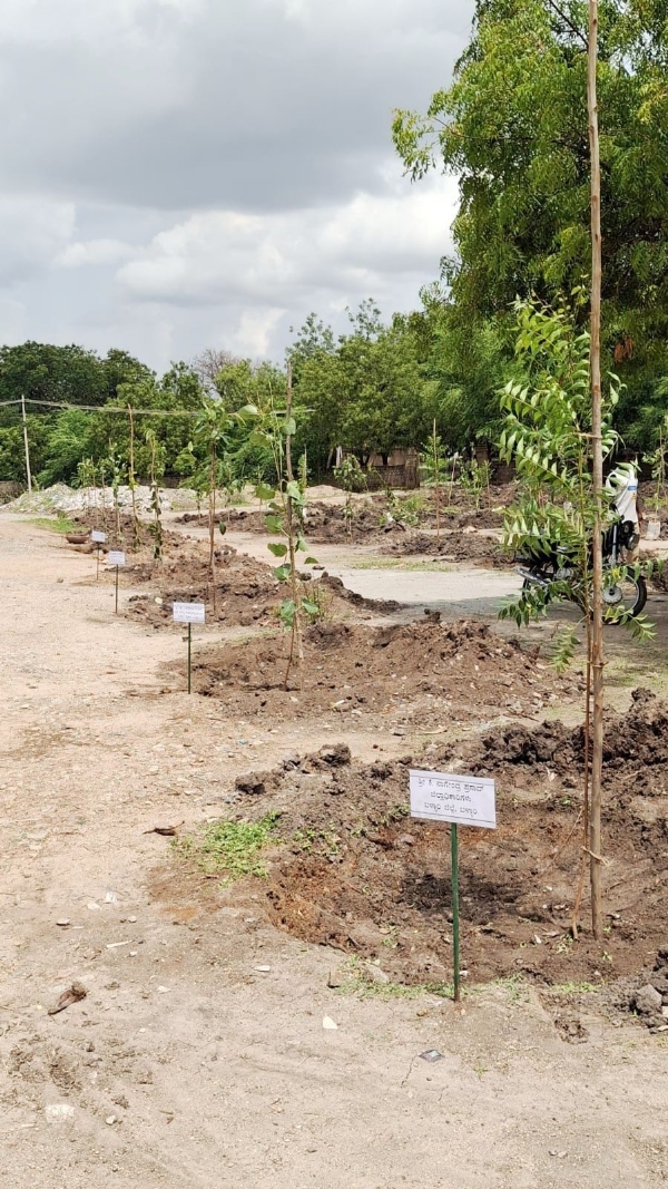 5,000 sapling planting program initiated by DC Nagendra Prasad 5,000 sapling planting program initiated by DC Nagendra Prasad