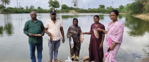 ಫೋಟೋ ಫೋಟೋ