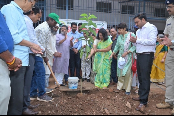 Plantation Plantation