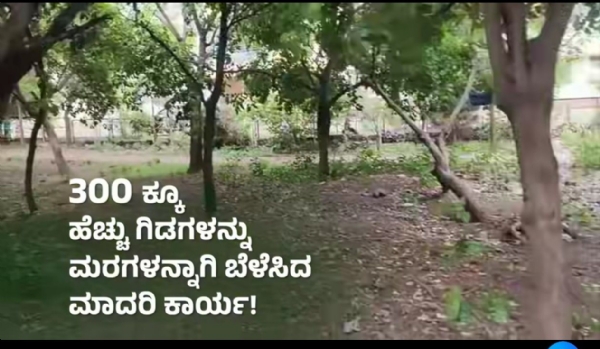 ವೃಕ್ಷ ಅಭಿಯಾನ