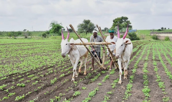 ಫೋಟೋ ಫೋಟೋ