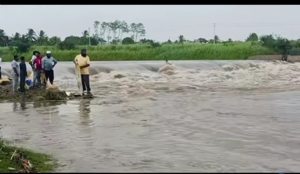 ಮೀನು ಮೀನು