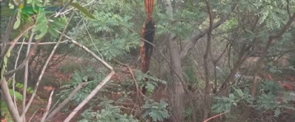 ಸಾವು