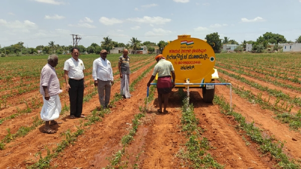 ತೊಗರಿ ಬೆಳೆ : ಕೊಪ್ಪಳ ಕೃಷಿ ವಿಸ್ತರಣಾ ಕೇಂದ್ರದ ಸಲಹೆ ತೊಗರಿ ಬೆಳೆ : ಕೊಪ್ಪಳ ಕೃಷಿ ವಿಸ್ತರಣಾ ಕೇಂದ್ರದ ಸಲಹೆ
