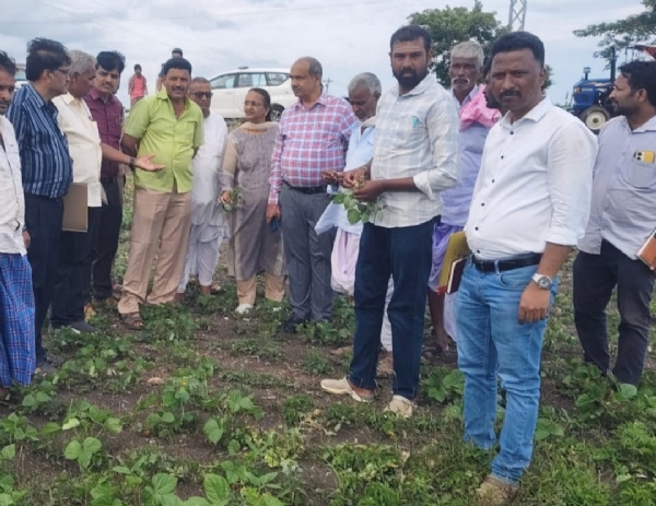 ಫೋಟೋ ಫೋಟೋ
