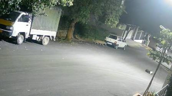 cctv-captures-leopard cctv-captures-leopard