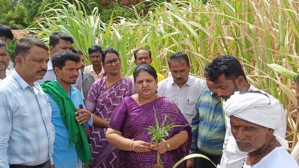 Drought situation to be monitored, report to government within a week: DC