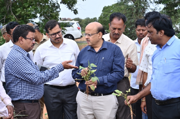 ಕೊಪ್ಪಳ, ಇರಕಲ್ಗಡ ಹೋಬಳಿ: ಮಳೆ ಕೊರತೆ - ಡಿಸಿ, ಸಿಇಒ ಭೇಟಿ