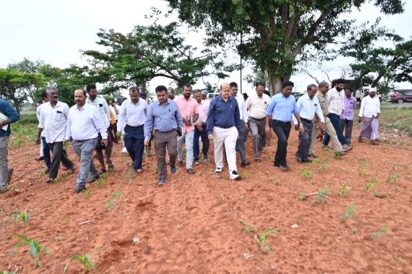 ಕೊಪ್ಪಳ, ಇರಕಲ್ಗಡ ಹೋಬಳಿ: ಮಳೆ ಕೊರತೆ - ಡಿಸಿ, ಸಿಇಒ ಭೇಟಿ