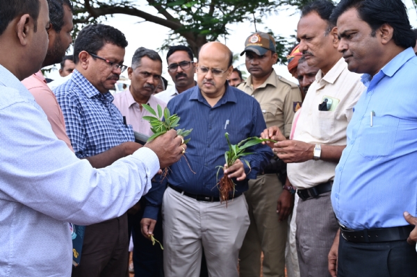 ಕೊಪ್ಪಳ, ಇರಕಲ್ಗಡ ಹೋಬಳಿ: ಮಳೆ ಕೊರತೆ - ಡಿಸಿ, ಸಿಇಒ ಭೇಟಿ