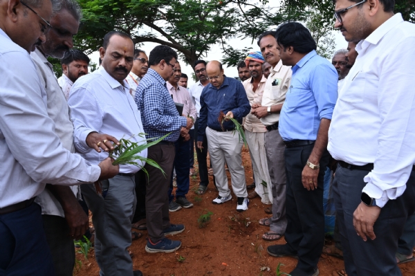 ಕೊಪ್ಪಳ, ಇರಕಲ್ಗಡ ಹೋಬಳಿ: ಮಳೆ ಕೊರತೆ - ಡಿಸಿ, ಸಿಇಒ ಭೇಟಿ