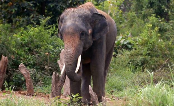 ಸಂದರ್ಭಿಕ ಚಿತ್ರ