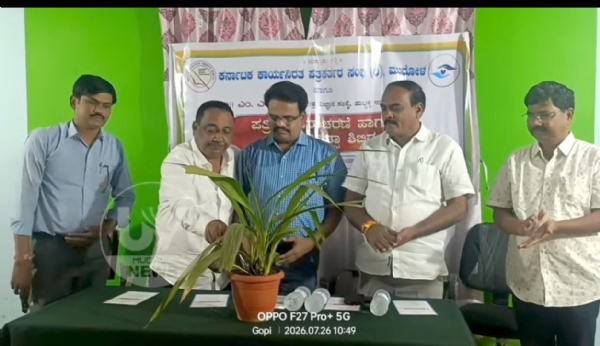 ಡೀನ್