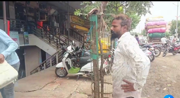 ಗಿಡ ಗಿಡ
