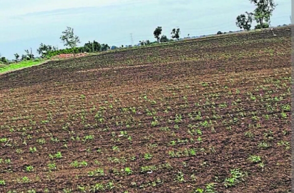 ಫೋಟೋ ಫೋಟೋ