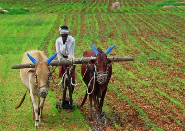 ಫೋಟೋ ಫೋಟೋ