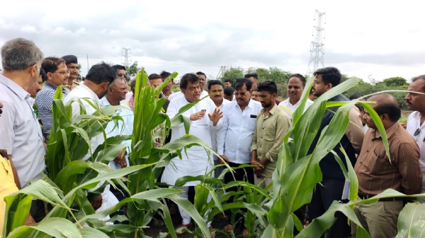 ಪರಿಶೀಲನೆ