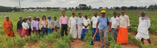 ತಳಕಲ್: ತೊಗರಿ ಕುಡಿಚಿವುಟುವ ಯಂತ್ರದ ಪ್ರಾತ್ಯಕ್ಷಿಕೆ ತಳಕಲ್: ತೊಗರಿ ಕುಡಿಚಿವುಟುವ ಯಂತ್ರದ ಪ್ರಾತ್ಯಕ್ಷಿಕೆ