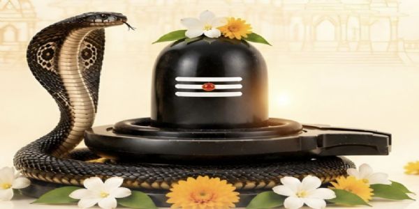 ನಾಗರ ಪಂಚಮಿ: ನಾಗಾರಾಧನೆಯ ಹಿಂದಿರುವ ಸಂಸ್ಕೃತಿ ಮತ್ತು ಪರಂಪರೆ
