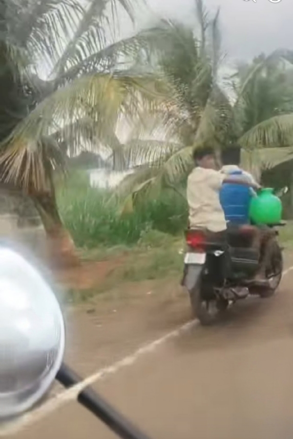 ನೀಟ್7