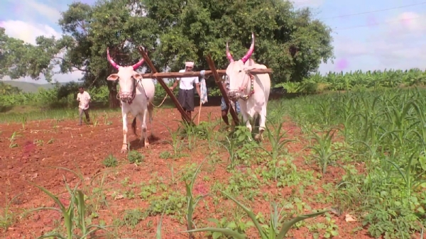 ಫೋಟೋ