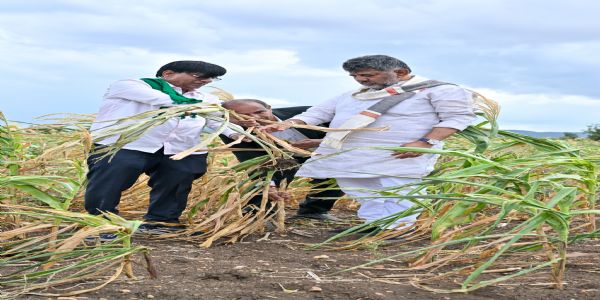 ಗದಗ: ಬರಪೀಡಿತ ಪ್ರದೇಶಗಳ ಪರಿಶೀಲನೆ ನಡೆಸಿದ ಮುಖ್ಯಮಂತ್ರಿ ಡಿ.ಕೆ. ಶಿವಕುಮಾರ್